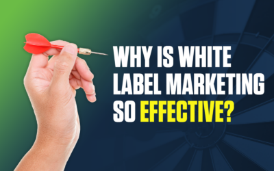 The Ultimate Guide to Choosing the Best White Label Marketing Services for Chiropractic Clinics